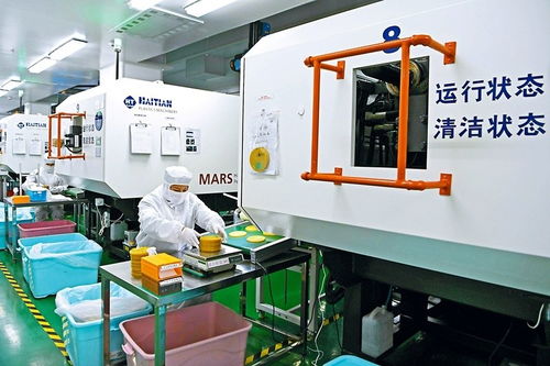 結對合作助轉型，數字技術賦能企業新飛躍